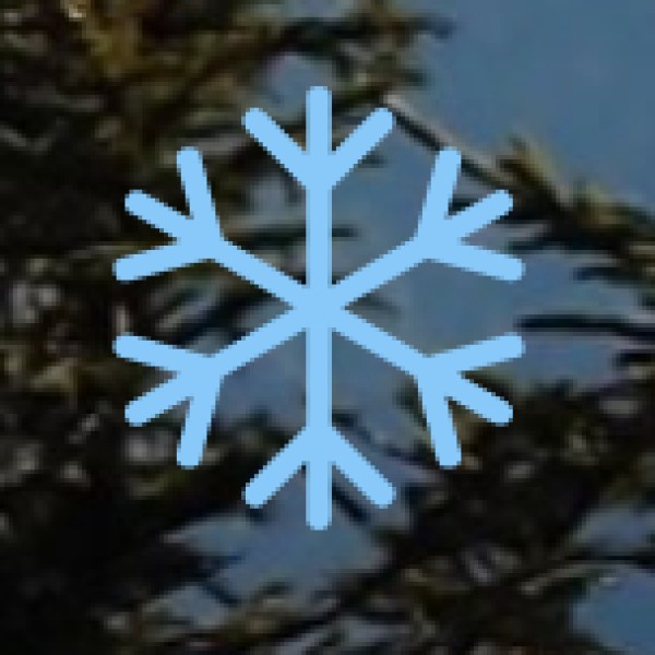 FACTS & FIGURES (2024 estimates)