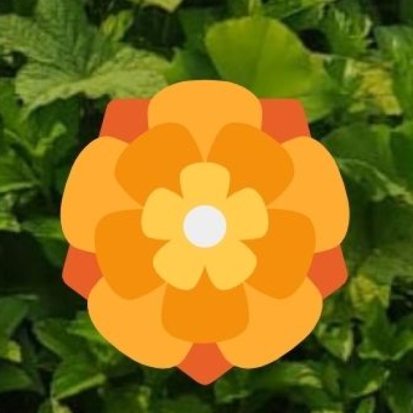 Agriculture in Sikkim