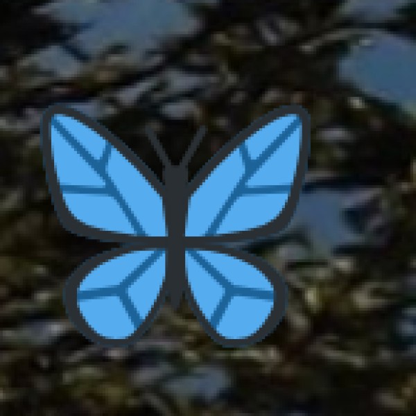 • Alder Tree-Based Farming: