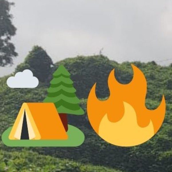 Major Food Crops in Ladakh