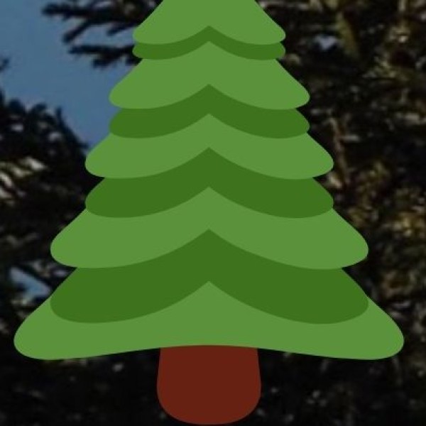 Dry Ginger (Sonth) & Turmeric