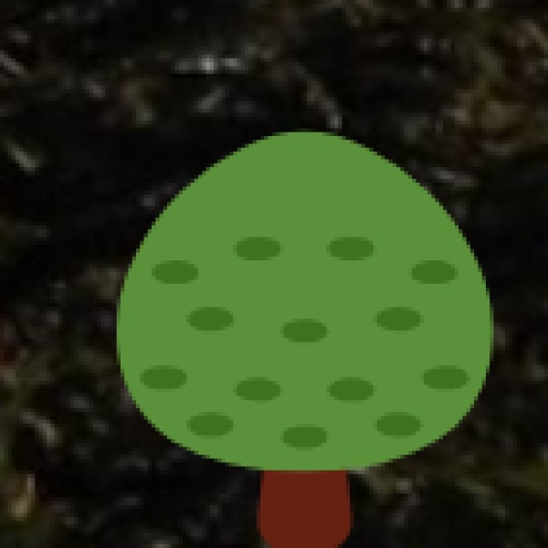 Major Agricultural Crops in Karnataka