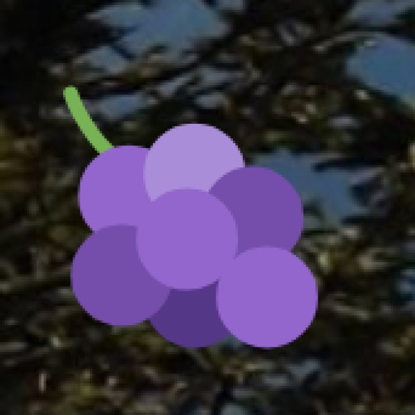 Agriculture in Nagaland