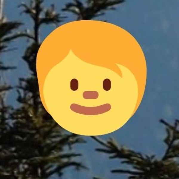 Contribution to Economy