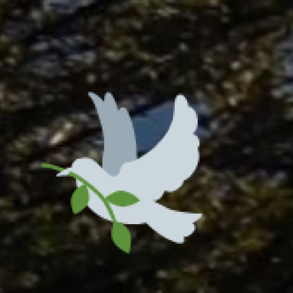 Spice Plantations in Goa