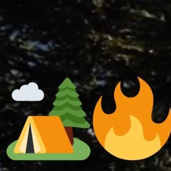 Challenges in Delhi's Agriculture