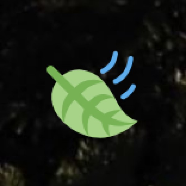 • Pelga Falls (West Garo Hills):