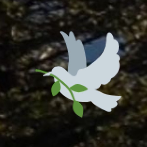 Tirthan Valley – The Gateway to the Himalayas