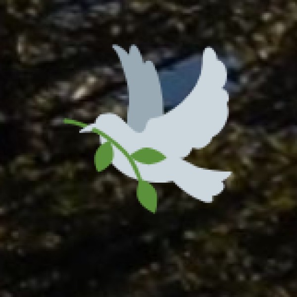 Unique experiences in offbeat Odisha