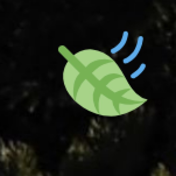 Mandu – Romantic Ruins in the Hills