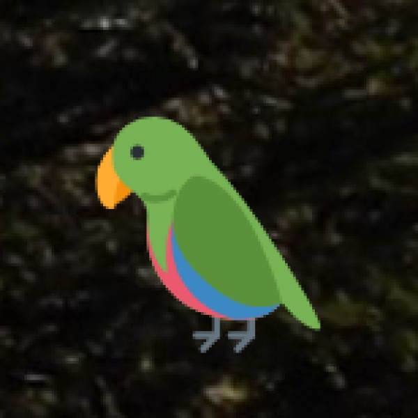 Doyang River – Nagaland’s Unseen Birding Paradise