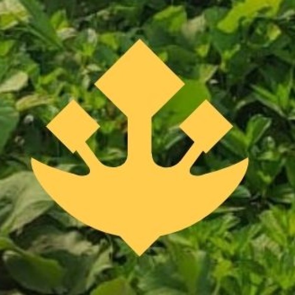 ECO & ADVENTURE RETREATS