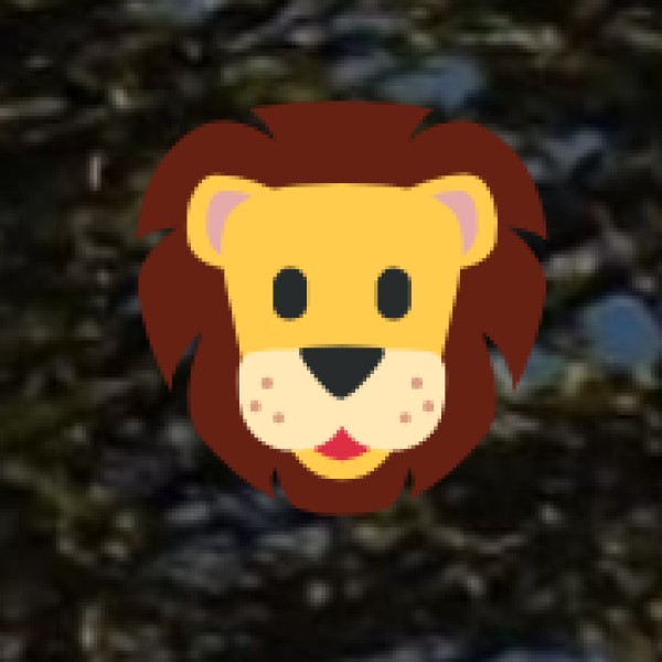 Gandhisagar Wildlife Sanctuary & Fort