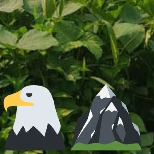 Debrigarh Wildlife Sanctuary