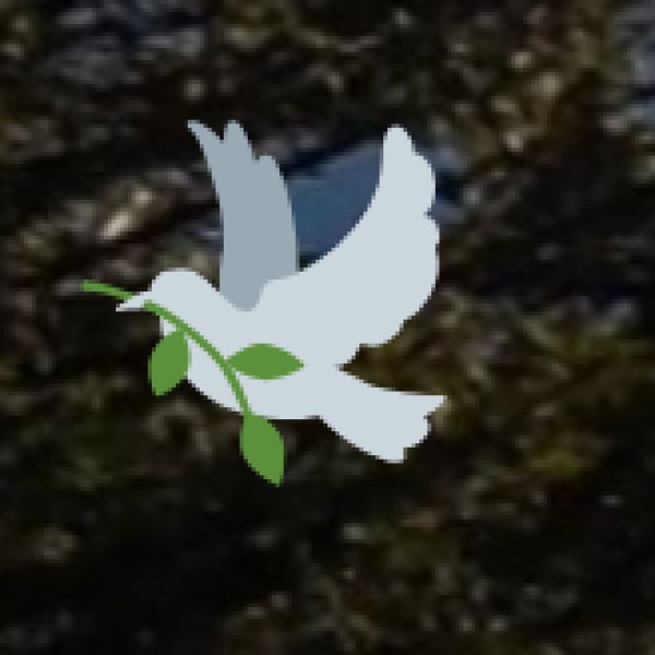 Unique Offbeat Experiences