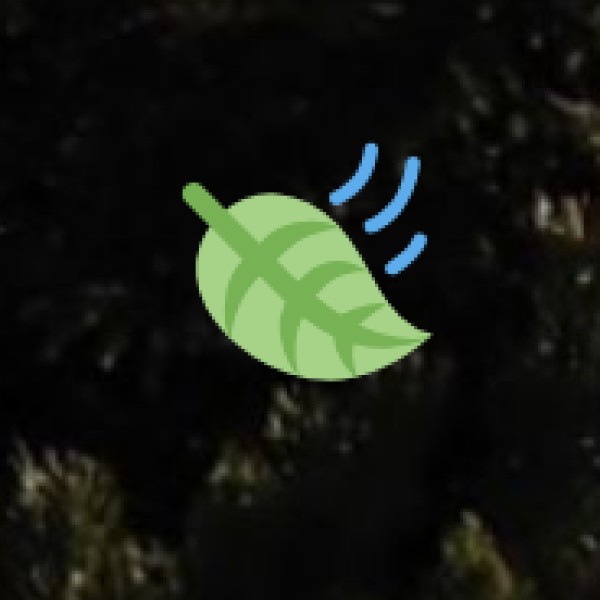 Kerala’s Hidden Gems