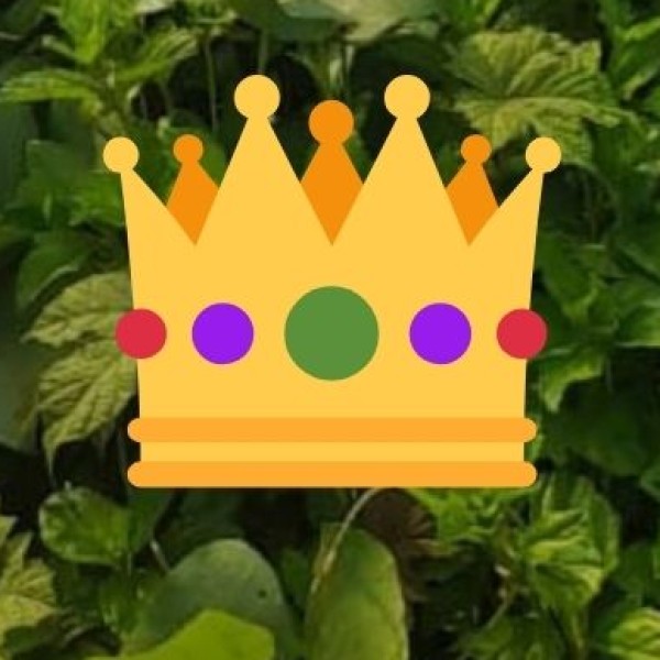 Mahoba – The Lost Kingdom of Chandela Kings