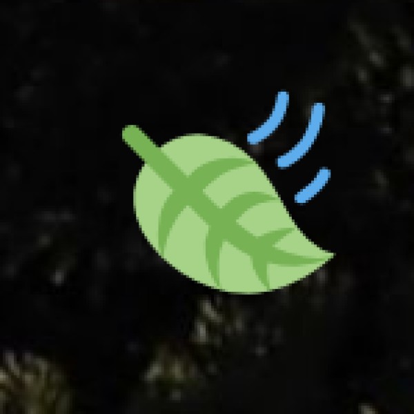 Polo Forest – A Lost Kingdom in the Wilderness