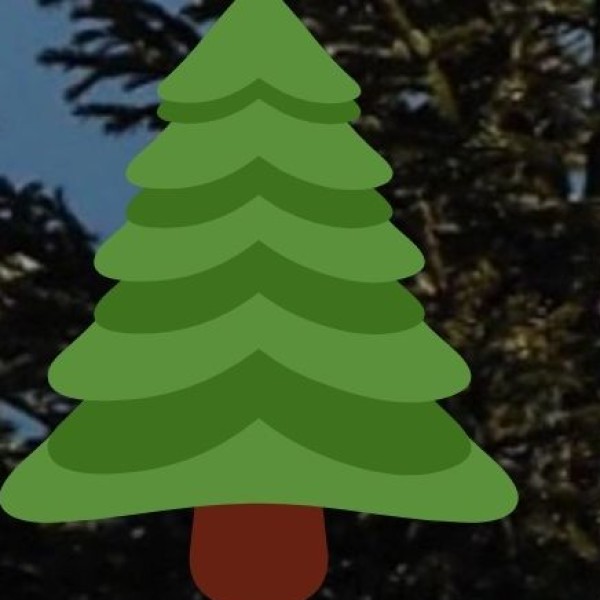 Ross & Smith Islands (near Diglipur)