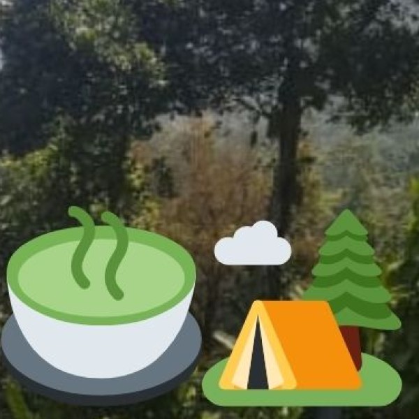 Araku Coffee Museum – A Coffee Lover’s Paradise