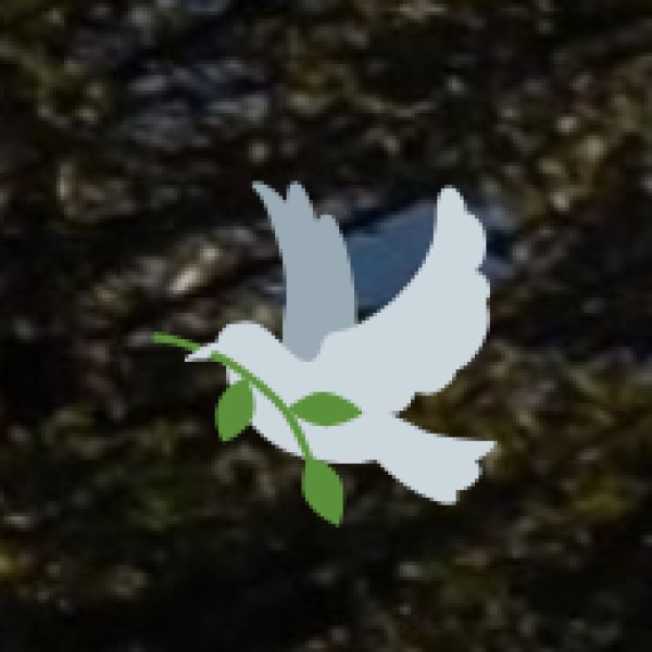 Medak Church – The Largest Church in South India