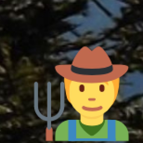 Yimchunger Tribe Villages (Shamatore area)