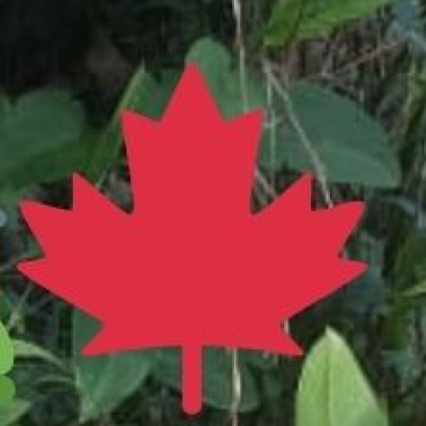 Walk on the Frozen Zanskar River – The Chadar Trek