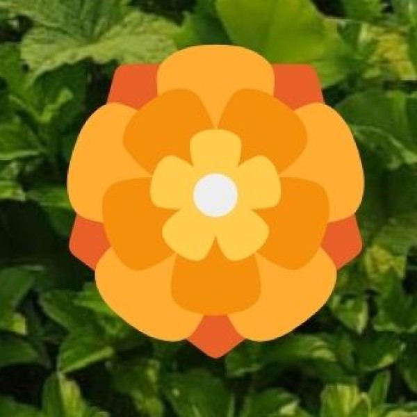 Top Attractions Inside The Deltin: