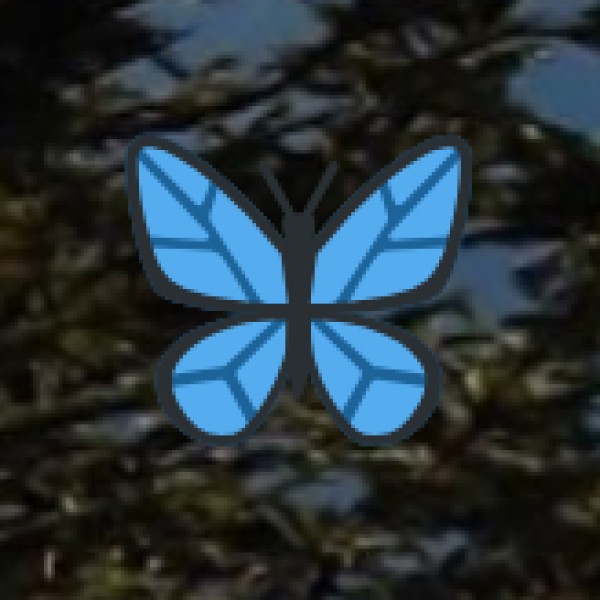 Hidden Gems & Offbeat Destinations