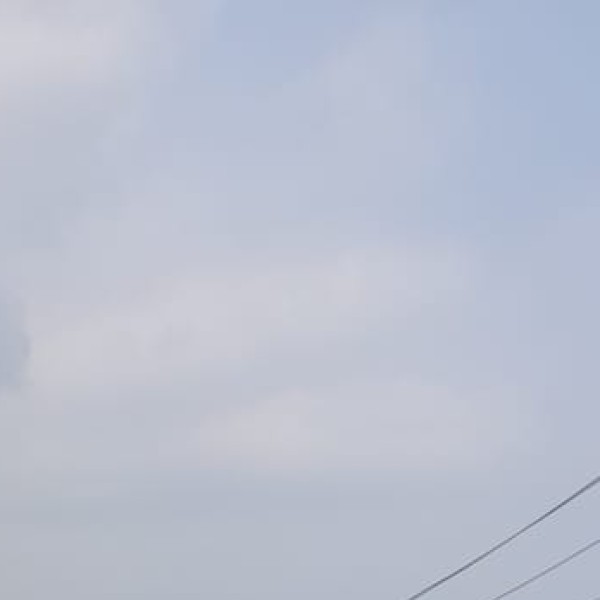 Mangan
