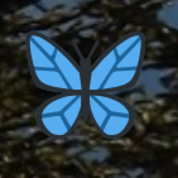 whispers of the mountains