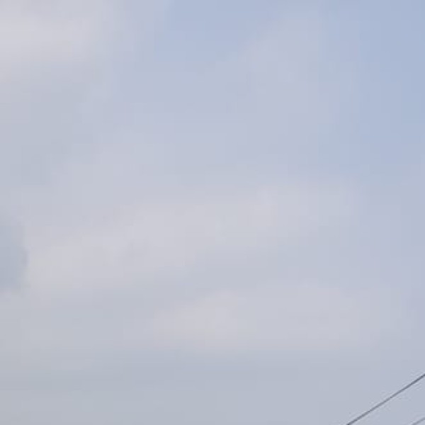 Pali (Korba District)
