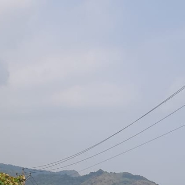 Bonus: Offbeat Travel Tips in Nagaland