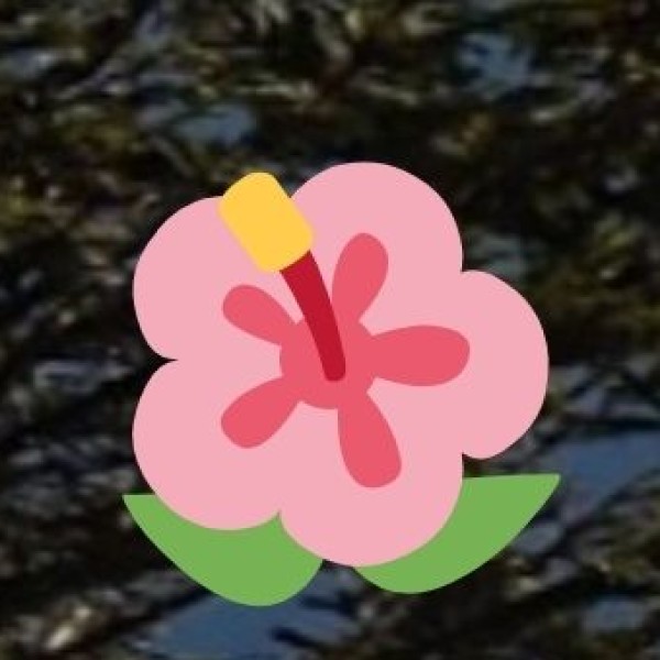 Agumbe – The Cherrapunji of the South