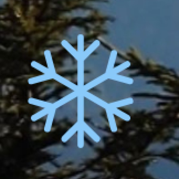 • Krem Mawmluh (near Cherrapunji):