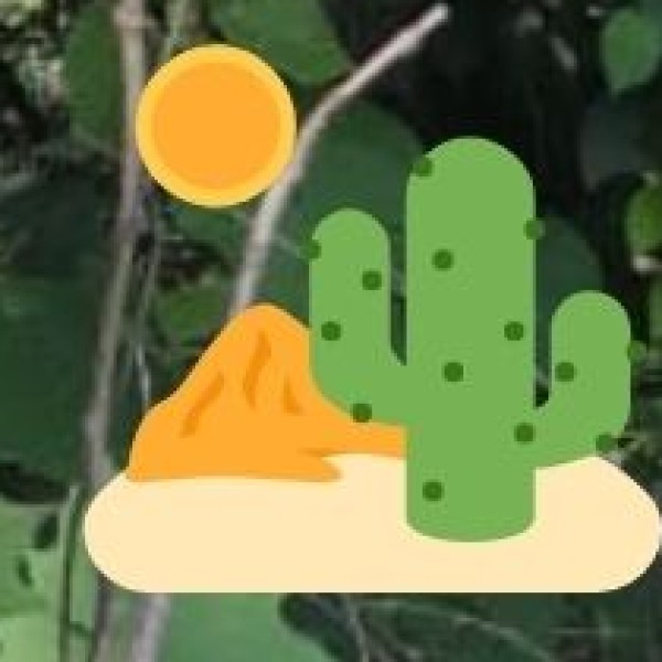 Accessibility & Tips for Travelers