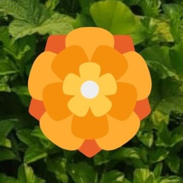 SUMMARY LIST OF HIDDEN GEMS