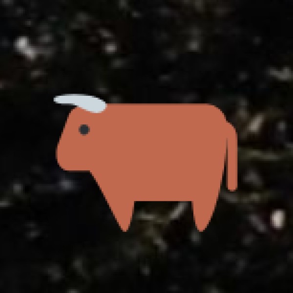 Spot a Snow Leopard in Hemis National Park