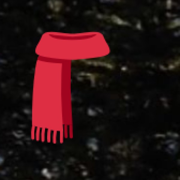 Sualkuchi – The Silk Village