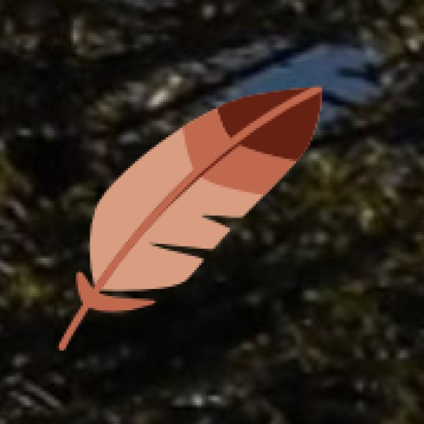 Why Explore Lakshadweep’s Hidden Gems?