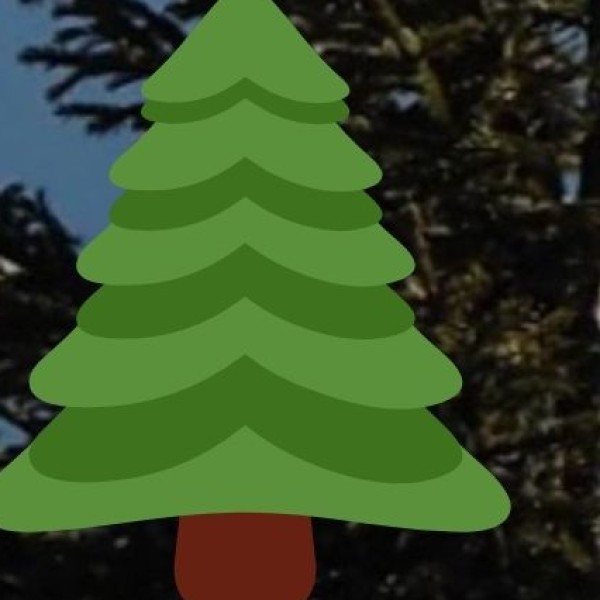 Garbhanga Reserve Forest & Trek