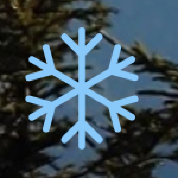 Explore Delhi’s Underground Bunkers at Rajpath