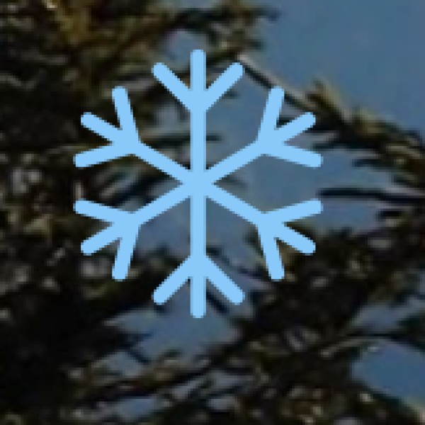 Shoja – A Peaceful Escape in Banjar Valley