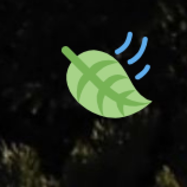 Hajo – Spiritual Syncretism