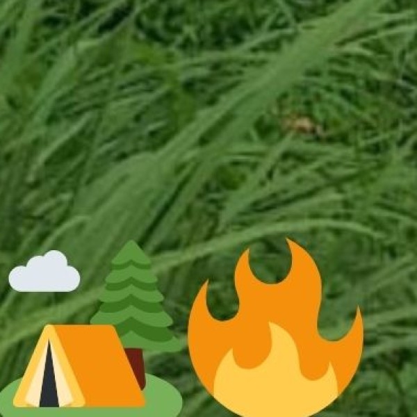 Serenity Beach, Pondicherry – A Secluded Paradise