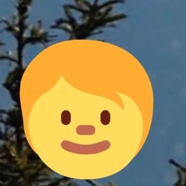 Offer a rich blend of mystery