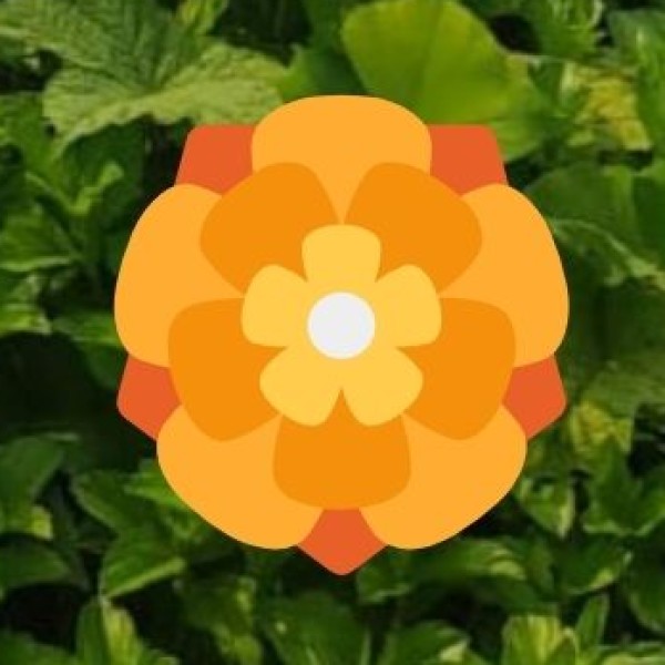 Enjoy a Picnic at Sunder Nursery – Delhi’s Hidden Garden