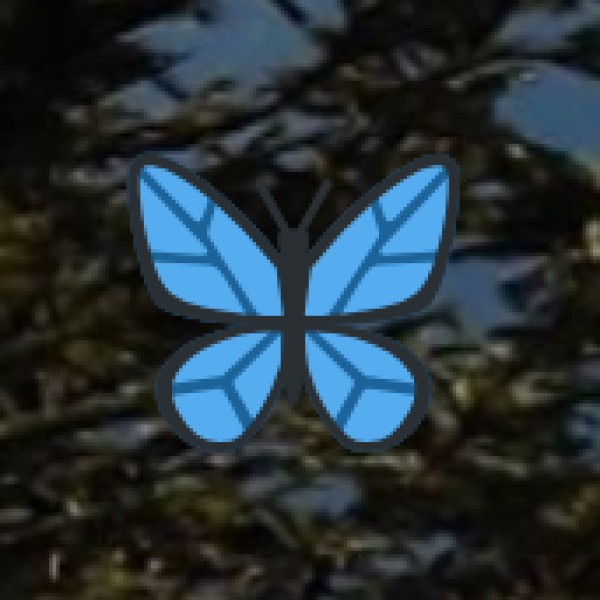 Butterfly Beach (South Goa)