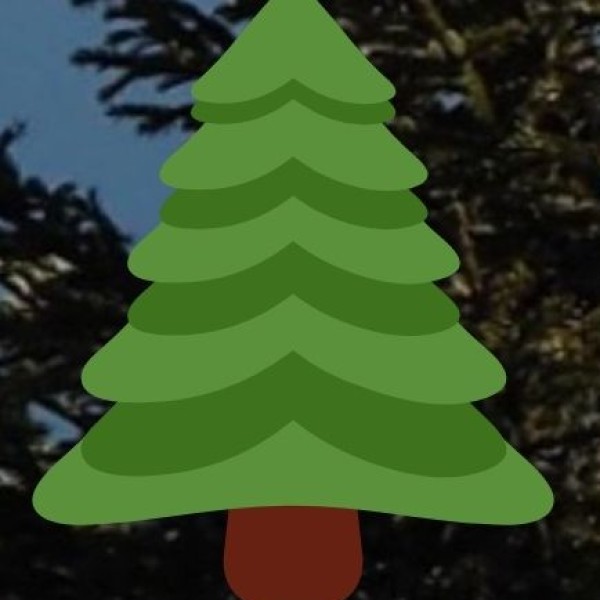 Mechuka (Menchukha) – Shi-Yomi District