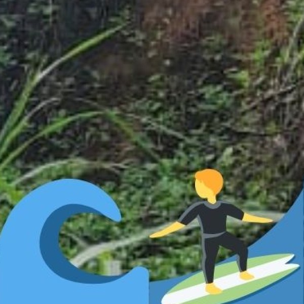 • Pudukuppam Beach / Veerampattinam Beach: